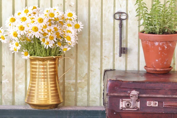 Nature morte avec des herbes et des fleurs fond rétro — Photo