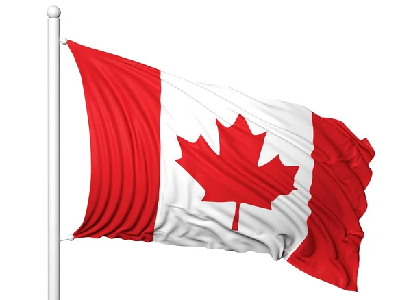 Bandera ondeando de Canadá en asta de bandera, aislada sobre fondo blanco . — Foto de Stock