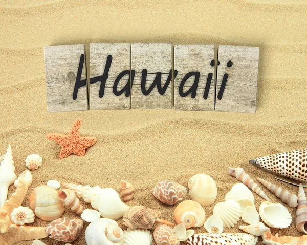 Hawaii on wooden board pieces with sea shells and sand — 스톡 사진