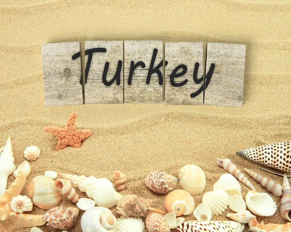 Turkije op houten plank stukken met zeeschelpen en zand — Stockfoto