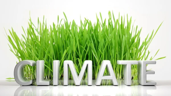 Зеленая трава с текстом Климат 3D, изолированный на белом фоне . — стоковое фото