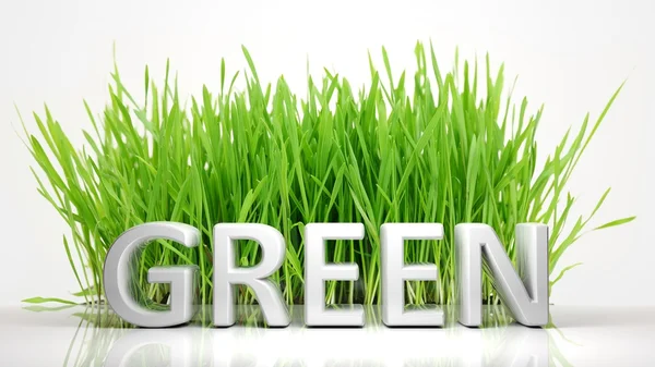 Green grass with Green 3D text, isolated on white background. — Stock Photo, Image