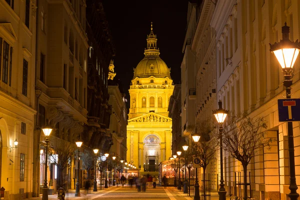 Nightshot on Budapest city streets with buildings and lights. — Stock Photo, Image