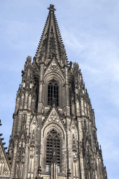 Fassade des Kölner Doms — Stockfoto