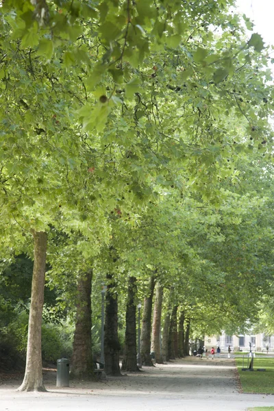 Brussels Park - Parc de Bruxelles - Warandepark — Stock Photo, Image