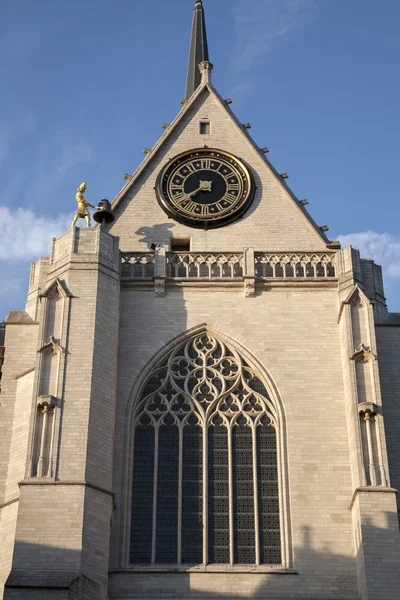 St Peters Kościoła; Leuven — Zdjęcie stockowe