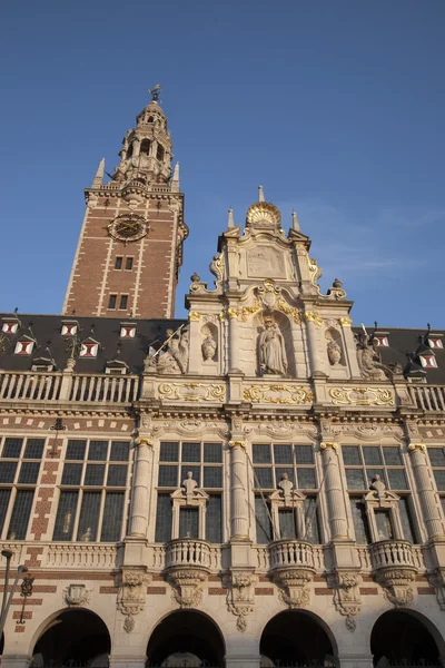 Bir Leuven Üniversitesi Kütüphanesi — Stok fotoğraf