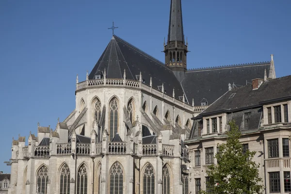 St Peters Kościoła; Leuven — Zdjęcie stockowe