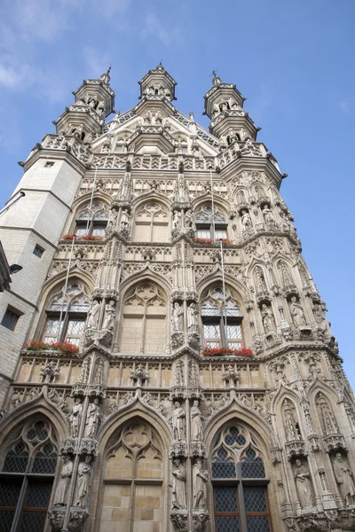Belediye Binası, Leuven, Belçika — Stok fotoğraf