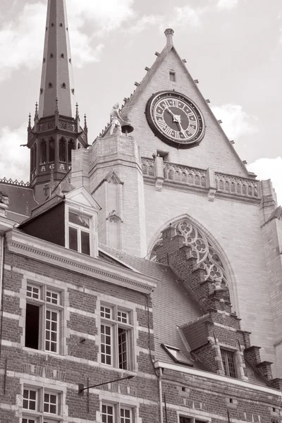 St Peters Church; Leuven; Belgie — Stock fotografie