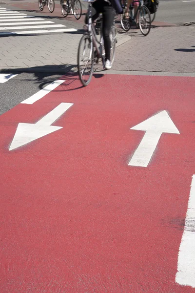 Fietsers op fietspad — Stockfoto