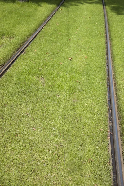 Track van de tram in Rotterdam, Nederland — Stockfoto