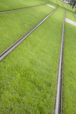 Tramvay parça Rotterdam, Hollanda