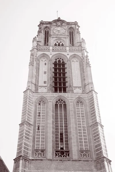 Katedral kilise kule, Rotterdam, Hollanda