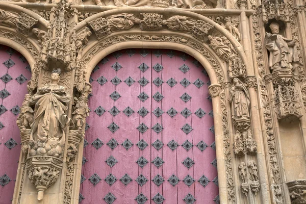 Cathedral Church Door, Salamanca — Stock Photo, Image
