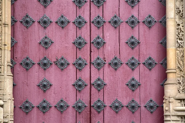 Kathedraal kerk deur, Salamanca — Stockfoto