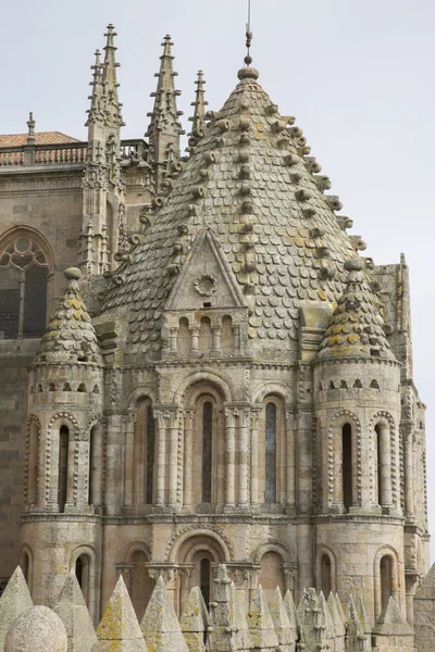Wieża katedry Kościoła, Salamanca — Zdjęcie stockowe
