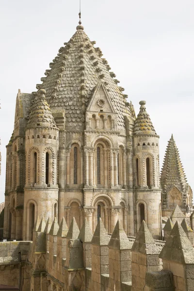 Catedrala Biserica Turnul, Salamanca — Fotografie, imagine de stoc
