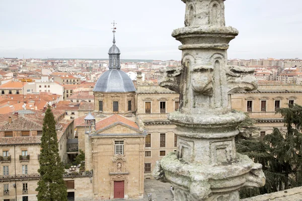 Anaya Palace University, Salamanca — Foto Stock