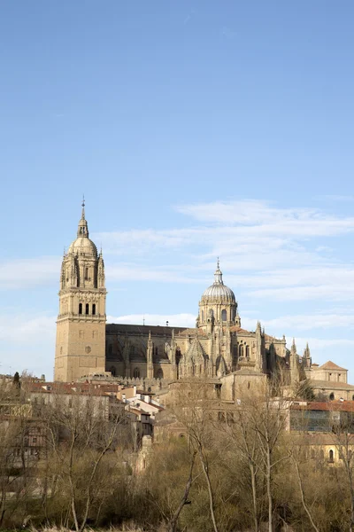 Katedral kilise, İspanya, Salamanca — Stok fotoğraf