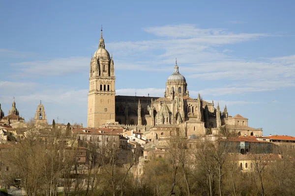 Chiesa Cattedrale, Spagna, Salamanca — Foto Stock
