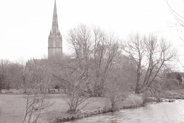 Salisbury Cathedral, Inghilterra, Regno Unito — Foto Stock