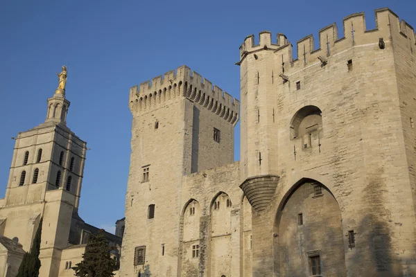 Palais des Papes - Papa ve Katedrali, Avignon Sarayı — Stok fotoğraf