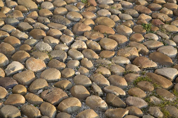 Булижник камені в Авіньйоні — стокове фото