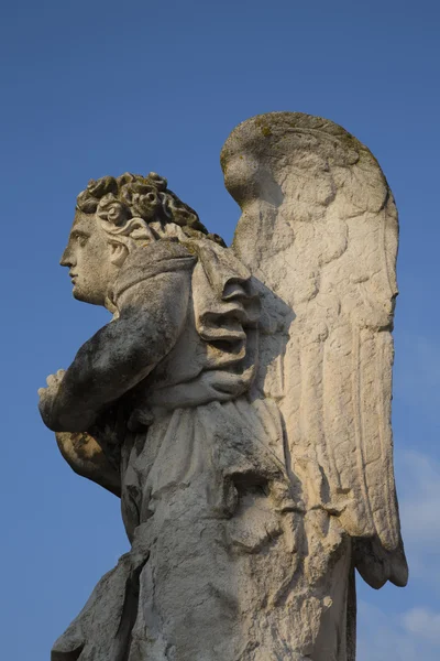 Angel standbeeld in Avignon kathedraal — Stockfoto