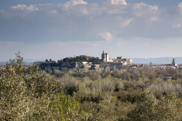 View of Avignon, France — Stock Photo, Image