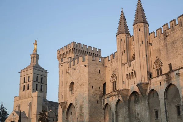 Katedra i Palais des Papes Pałac; Avignon — Zdjęcie stockowe
