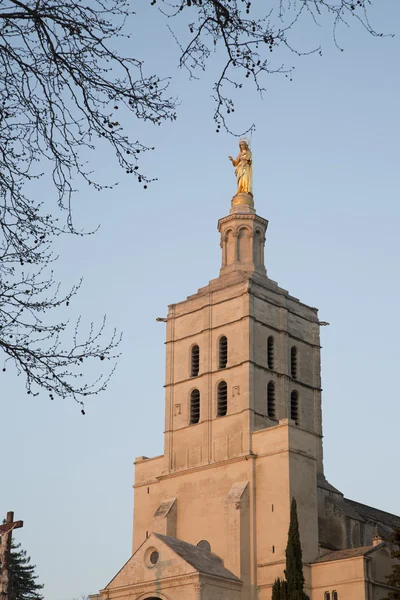 Katedrála v kostelní věže; Avignon — Stock fotografie