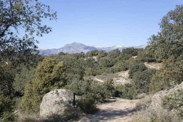 Vägen Guadarramas Nationalpark Madrid Spanien — Stockfoto