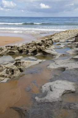 Langre Sahili 'ndeki Kaya Havuzu; Santander; Cantabria; İspanya