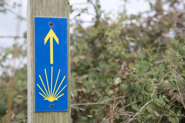 Blue Yellow Camino Santiago Way Arrow Sign Nature 브리아 스페인 — 스톡 사진