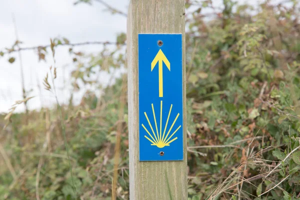 Signo Flecha Del Camino Santiago Azul Amarillo Cantabria España — Foto de Stock