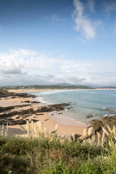 Roseaux Loredo Beach Santander Cantabrie Espagne — Photo