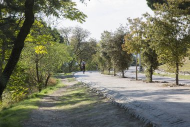 Dehesa de la Villa Parkı yolu; Madrid; İspanya