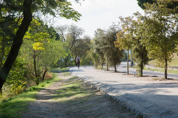 Dehesa Villa Parkı Yolu Madrid Spanya — Stok fotoğraf