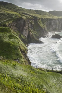 Carrick bir rede, giants causeway kıyı patika