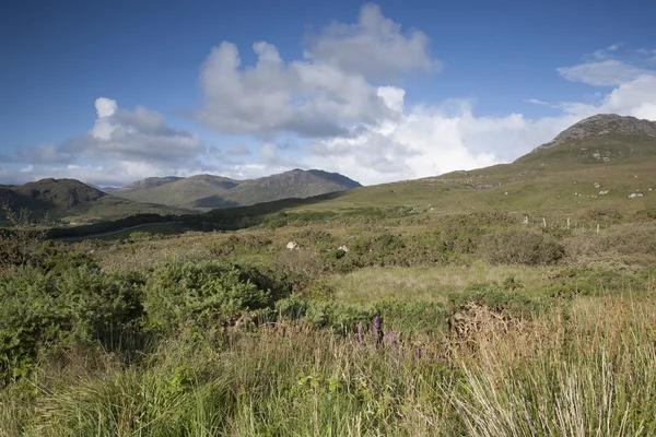 Connemara nationalpark, county galway — Stockfoto