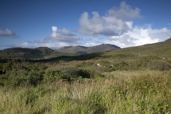 Connemara nationalpark, county galway — Stockfoto