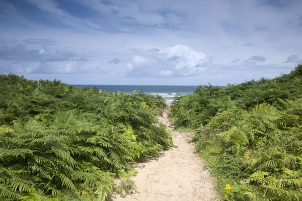 White Park Bay, County Antrim — Stock Photo, Image