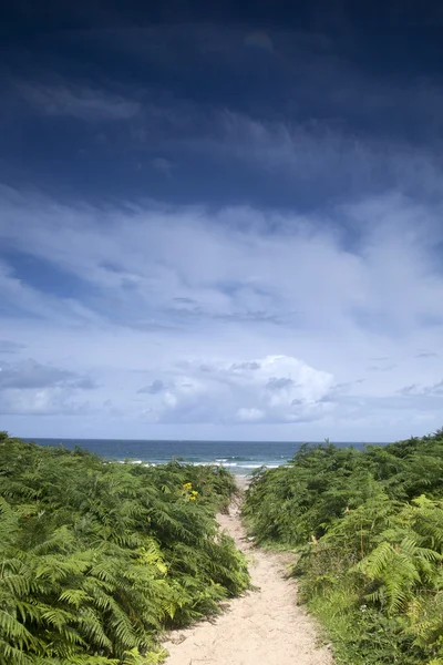 Vita park bay, county antrim — Stockfoto