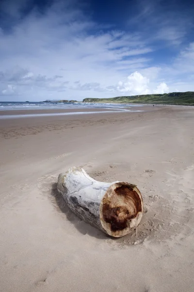 White Park Bay, comté d'Antrim — Photo