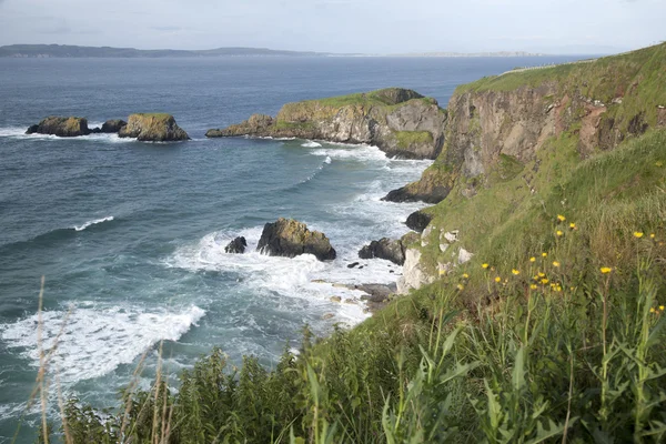 Carrick a rede island, giant causeway küstennaher Fußweg — Stockfoto