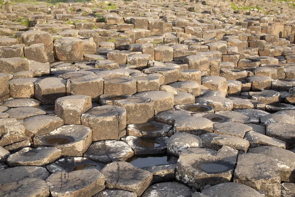 Devler causeway, county antrim — Stok fotoğraf