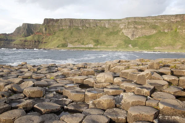 Giants causeway, hrabství antrim — Stock fotografie