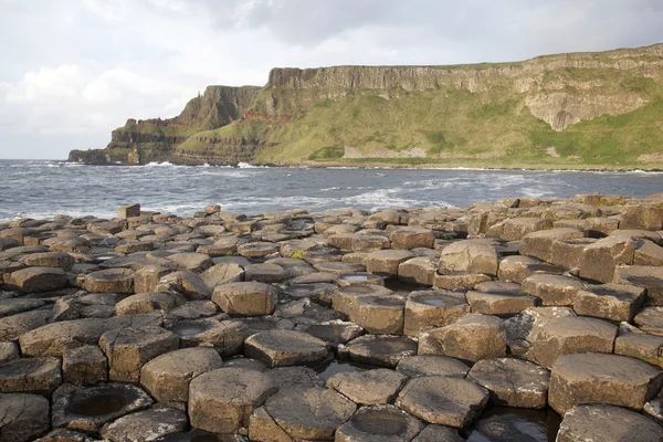 Devler causeway, county antrim — стокове фото