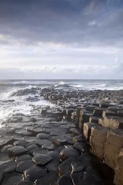 Giants causeway, hrabství antrim — Stock fotografie